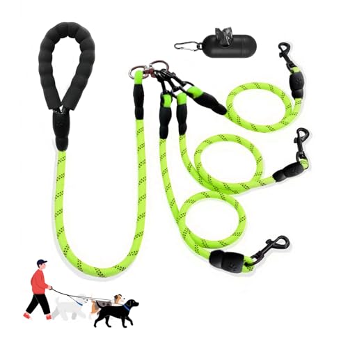 LEOSASA 3 Hundeleine, kein Verheddern, Hauptleine mit gepolstertem Griff, drei abnehmbare Leinenspalter, robuster Clip, 1,5 m für Spaziergänge, Laufen, kleine, mittelgroße und große Hunde (Grün) von LEOSASA