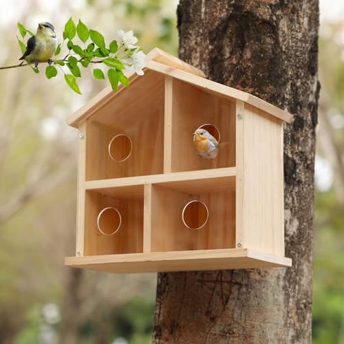 Vogelhäuser für den Außenbereich, durchsichtig, verbessertes Holz-Vogelhaus für den Außenbereich, Vogelnest, transparentes Design für einfache Beobachtung, bestes Geschenk für Kinder Vogelhäuser für den Außenbereich, durchsichtig, verbessertes Holz-Vogelhaus für den Außenbereich, Vogelnest, transparentes Design für einfache Beobachtung, bestes Geschenk für Kinder von LEOSYY