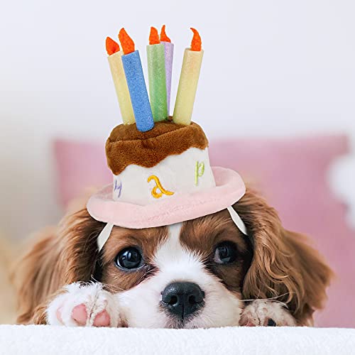 LESYPET Hund Geburtstag Hut, Haustier Geburtstag Kuchenhut mit Kerze für Hund Katze Party Kostüm, Rosa S von LESYPET