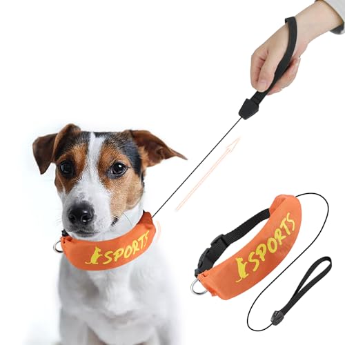 Lesypet 2-in-1 einziehbares Hundehalsband, freihändiges Spazierengehen mit einziehbarer Leine für kleine und mittelgroße Hunderassen, Orange, Größe S Lesypet 2-in-1 einziehbares Hundehalsband, freihändiges Spazierengehen mit einziehbarer Leine für kleine und mittelgroße Hunderassen, Orange, Größe S von LESYPET