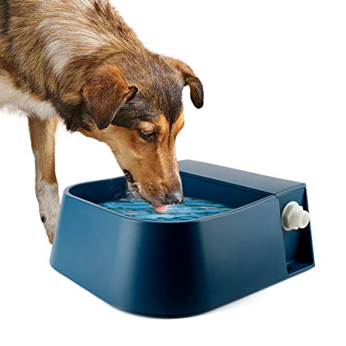 Lesypet Automatischer Wassernapf für Hunde, Bewässerung, automatische Befüllung, Wassernapf, Schwimmerventil, Schüssel für Hunde, Ziege, Katze, Outdoor, 2 l (Blau 1) von LESYPET