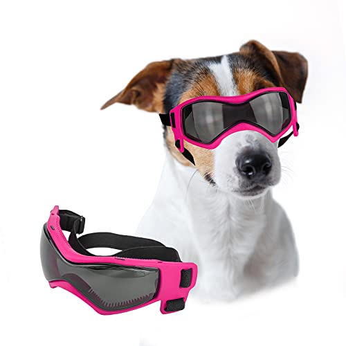 Lesypet Hundebrille für kleine Rassen, Hundesonnenbrille, UV-Schutz, Windschutz für kleine Hunde, Outdoor, Größe M Lesypet Hundebrille für kleine Rassen, Hundesonnenbrille, UV-Schutz, Windschutz für kleine Hunde, Outdoor, Größe M von LESYPET