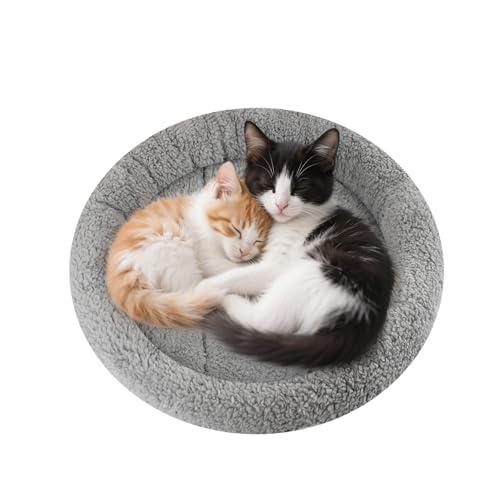 lesypet Rundes Katzenbett für Katzen und kleine Hunde, 48,3 cm B x 5,1 cm H, Katzen-Donut-Betten für Indoor-Katzen, erhöhtes Kissen, Haustiermatte, rutschfeste Unterseite, maschinenwaschbar, Grau lesypet Rundes Katzenbett für Katzen und kleine Hunde, 48,3 cm B x 5,1 cm H, Katzen-Donut-Betten für Indoor-Katzen, erhöhtes Kissen, Haustiermatte, rutschfeste Unterseite, maschinenwaschbar, Grau von LESYPET
