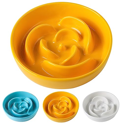 LETAOTAO Slow Feeder Hundenäpfe – Verhindern Sie Ersticken Gesunde Keramik Hundenapf Langsam Feeder, Puzzle Feeder für Hunde, Langsam Fressen Hundenapf – Hund Slow Feeder für kleine bis mittelgroße LETAOTAO Slow Feeder Hundenäpfe – Verhindern Sie Ersticken Gesunde Keramik Hundenapf Langsam Feeder, Puzzle Feeder für Hunde, Langsam Fressen Hundenapf – Hund Slow Feeder für kleine bis mittelgroße von LETAOTAO