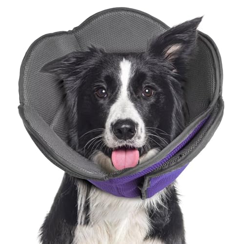 Hundekegel für Hunde nach Operationen, verstellbare schützende Hundehalsbänder und Kegel für große, mittelgroße und kleine Hunde und Katzen, bequeme, weiche Hundekegel verhindern, dass Haustiere Hundekegel für Hunde nach Operationen, verstellbare schützende Hundehalsbänder und Kegel für große, mittelgroße und kleine Hunde und Katzen, bequeme, weiche Hundekegel verhindern, dass Haustiere von LETSQK