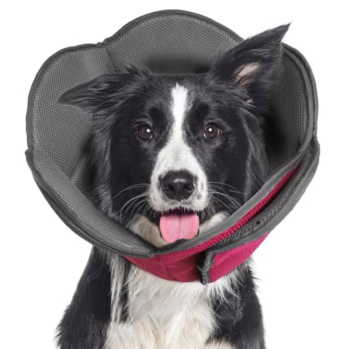 Hundekegel für Hunde nach Operationen, verstellbare schützende Hundehalsbänder und -kegel für große, mittelgroße und kleine Hunde und Katzen, bequeme, weiche Hundekegel verhindern, dass Haustiere Hundekegel für Hunde nach Operationen, verstellbare schützende Hundehalsbänder und -kegel für große, mittelgroße und kleine Hunde und Katzen, bequeme, weiche Hundekegel verhindern, dass Haustiere von LETSQK