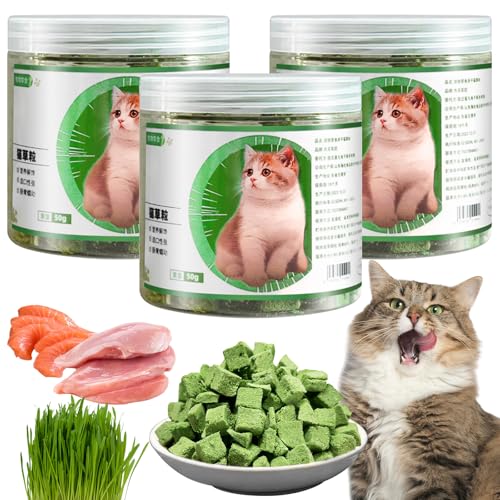 150g Katzengras Sticks, 3 Stück Katzengras Snacks Gefriergetrocknet Snacks für Katzen Beißstäbe Aus Katzengras Katzen Sticks Katzengras Fertig Gewachsen für Zahnpflege Haarknäuel Entfernen von LETTERASHQP