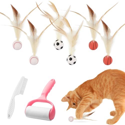 LETTERASHQP 8 Stück Interaktives Katzenspielzeug Ball Feder Interaktiver Spielball für Katzen Katzenspielzeug Interaktiv Katzenball Katzenbälle Interaktives Spielzeug für Katzen Interactive Cat Toy LETTERASHQP 8 Stück Interaktives Katzenspielzeug Ball Feder Interaktiver Spielball für Katzen Katzenspielzeug Interaktiv Katzenball Katzenbälle Interaktives Spielzeug für Katzen Interactive Cat Toy von LETTERASHQP