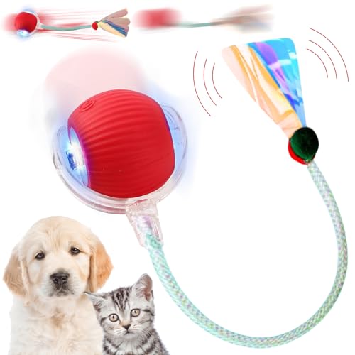 LETTERASHQP Hundespielzeug Ball Interaktives Hundespielzeug Katzenball Elektrisch Interaktiver Ball für Hunde Smart Automatisch Rollender Balls mit Schwanz für Katzen Hunde (03) LETTERASHQP Hundespielzeug Ball Interaktives Hundespielzeug Katzenball Elektrisch Interaktiver Ball für Hunde Smart Automatisch Rollender Balls mit Schwanz für Katzen Hunde (03) von LETTERASHQP