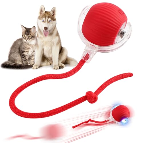 LETTERASHQP Hundespielzeug Ball Interaktives Hundespielzeug Katzenball Elektrisch Interaktiver Ball für Hunde Smart Automatisch Rollender Balls mit Schwanz für Katzen Hunde (01) LETTERASHQP Hundespielzeug Ball Interaktives Hundespielzeug Katzenball Elektrisch Interaktiver Ball für Hunde Smart Automatisch Rollender Balls mit Schwanz für Katzen Hunde (01) von LETTERASHQP