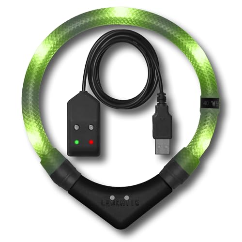 LEUCHTIE® Leuchthalsband Easy Charge für Hunde, USB aufladbar, wasserdichtes LED Halsband, extrem hell, 25h Leuchtdauer, kleine mittlere und große Hunde Limette Größe 47,5 von LEUCHTIE