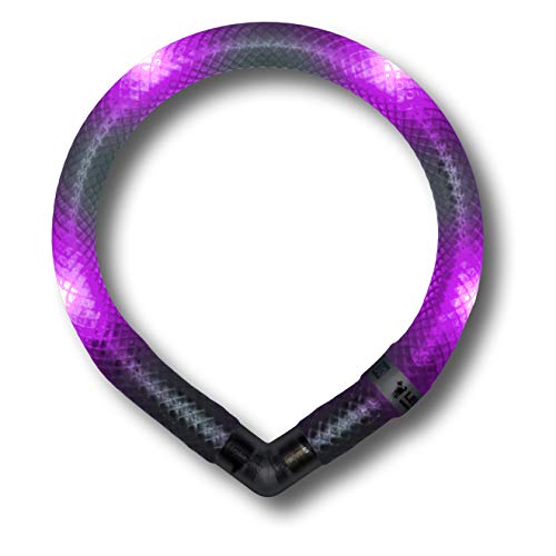 LEUCHTIE® Leuchthalsband Mini für Hunde, wasserdichtes LED Halsband, enorm hell, 50h Leuchtdauer, für kleine Hunde Lavendel Größe 27,5 von LEUCHTIE