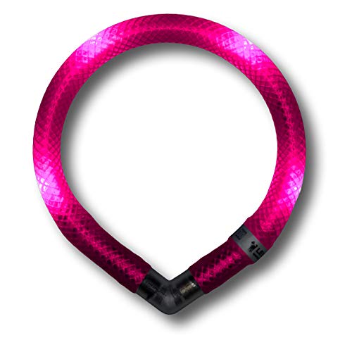 LEUCHTIE® Leuchthalsband Mini für Hunde, wasserdichtes LED Halsband, enorm hell, 50h Leuchtdauer, für kleine Hunde hotpink Größe 25 von LEUCHTIE