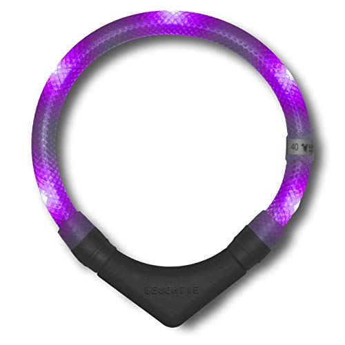 LEUCHTIE® Leuchthalsband Plus für Hunde, wasserdichtes LED Halsband, enorm hell 100h Leuchtdauer, Hundehalsband Leuchtend für kleine mittlere und große Hunde Lavendel Größe 40 von LEUCHTIE