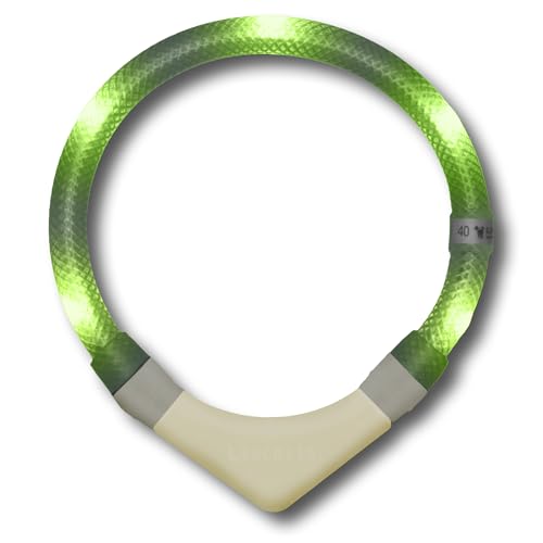LEUCHTIE® Leuchthalsband Plus NL für Hunde, nachleuchtend phosphoreszierendes Batterieteil, wasserdichtes LED Halsband, 100h Leuchtdauer, für kleine mittlere und große Hunde Limette Größe 42,5 von LEUCHTIE