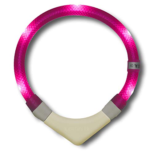 LEUCHTIE® Leuchthalsband Plus NL für Hunde, nachleuchtend phosphoreszierendes Batterieteil, wasserdichtes LED Halsband, 100h Leuchtdauer, für kleine mittlere und große Hunde hotpink Größe 52,5 von LEUCHTIE
