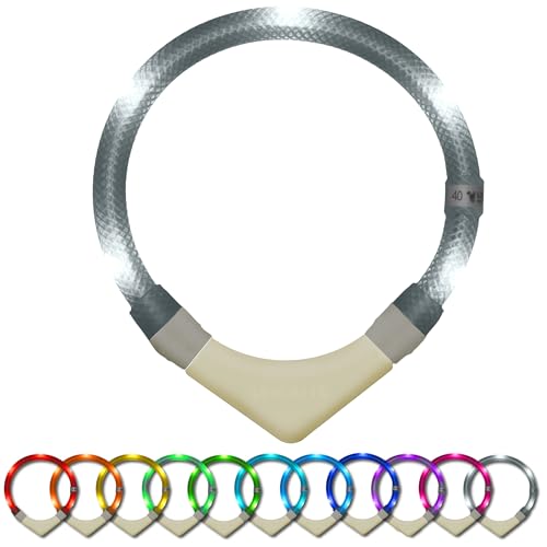 LEUCHTIE® Leuchthalsband Plus NL für Hunde, nachleuchtend phosphoreszierendes Batterieteil, wasserdichtes LED Halsband, 100h Leuchtdauer, für kleine mittlere und große Hunde weiß Größe 45 von LEUCHTIE