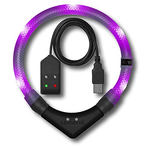 LEUCHTIE® Leuchthalsband Easy Charge für Hunde, USB aufladbar, wasserdichtes LED Halsband, extrem hell, 25h Leuchtdauer, kleine mittlere und große Hunde Lavendel Größe 42,5 von LEUCHTIE