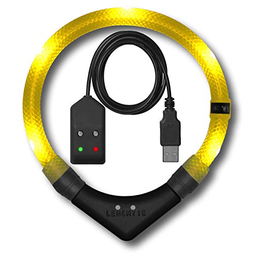 LEUCHTIE® Leuchthalsband Easy Charge für Hunde, USB aufladbar, wasserdichtes LED Halsband, extrem hell, 25h Leuchtdauer, kleine mittlere und große Hunde Sonnengelb Größe 52,5 von LEUCHTIE