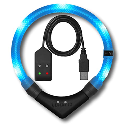 LEUCHTIE® Leuchthalsband Easy Charge für Hunde, USB aufladbar, wasserdichtes LED Halsband, extrem hell, 25h Leuchtdauer, kleine mittlere und große Hunde eisblau Größe 37,5 von LEUCHTIE