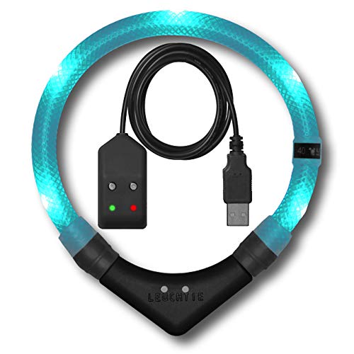 LEUCHTIE® Leuchthalsband Easy Charge türkis Größe 35 I USB aufladbar I LED Halsband für Hunde I konstante Leuchtkraft I wasserdicht I extrem hell von LEUCHTIE