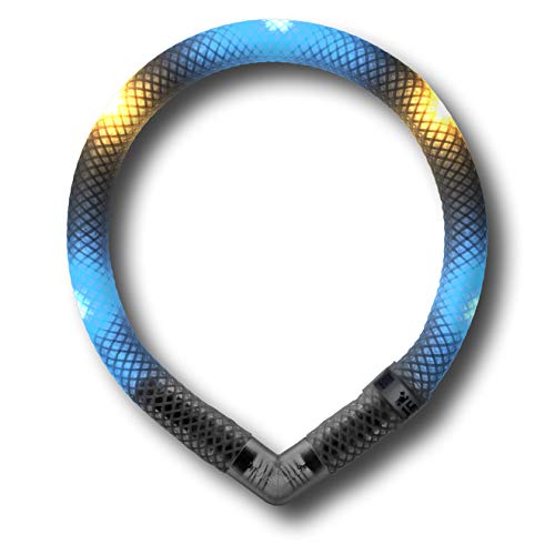 LEUCHTIE® Leuchthalsband Mini für Hunde, wasserdichtes LED Halsband, enorm hell, 50h Leuchtdauer, für kleine Hunde eisblau-vanille Größe 27,5 von LEUCHTIE