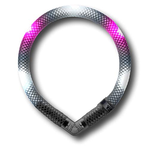 LEUCHTIE® Leuchthalsband Mini für Hunde, wasserdichtes LED Halsband, enorm hell, 50h Leuchtdauer, für kleine Hunde weiß-hotpink Größe 27,5 von LEUCHTIE