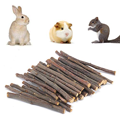 LEUM SHOP Kaustab für Hamster, Eichhörnchen, Kaninchen, Apfelbaumzweig, Molar, Holz, Farbe 200 g von LEUM SHOP