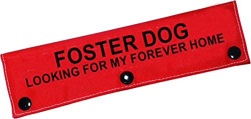 Lustige Hundeleine, Hülle, Foster, Hundeleine, Wickelhülle, Haustier-Geburtstagsgeschenk für Haustiere (My Forever Home-Sleeve) von LEVLO