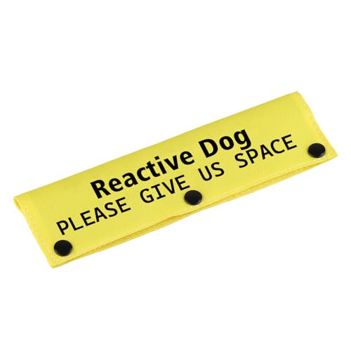 Lustige Hundeleine – Reaktive Hundewarnmarke, Haustier-Geburtstags-Geschenkpapier von LEVLO
