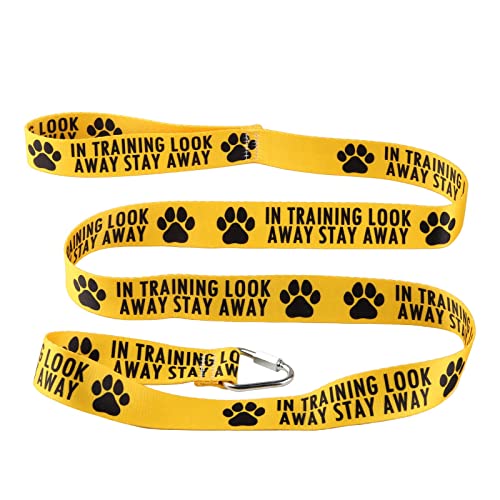 Service Dog Leash In Training Look Away Stay Away Dog Leash Walking Training Dog Leashes Dog Owner Pet Lover Gift (Look Away Stay Away-YE) von LEVLO