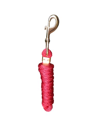 LEXNEL Solides Poly-Führseil mit Bolzenverschluss, 1,8 m und 3 m lang, Rot, 3 m LEXNEL Solides Poly-Führseil mit Bolzenverschluss, 1,8 m und 3 m lang, Rot, 3 m von LEXNEL