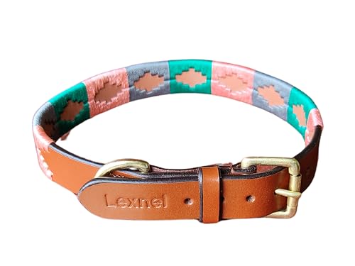Lexnel Western Hundehalsband - Leder bestickt Design für kleine, mittelgroße und große Hunde & Welpen Haustiere - L von LEXNEL