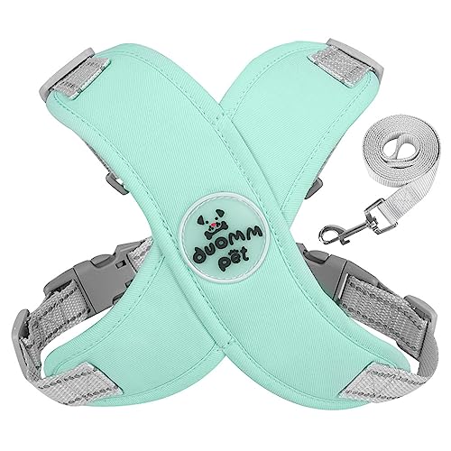 Hundegeschirr mit Leine, ausbruchsicher, für kleine Hunde, bequem, reflektierend, atmungsaktiv Hundegeschirr mit Leine, ausbruchsicher, für kleine Hunde, bequem, reflektierend, atmungsaktiv von LEYILE