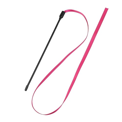 LEYILE Katzenstab-Spielzeug, Regenbogenfarben, doppelseitig, interaktives Stick-Spielzeug, Jagd, Kratzstab, Spielzeug, 10 Stück LEYILE Katzenstab-Spielzeug, Regenbogenfarben, doppelseitig, interaktives Stick-Spielzeug, Jagd, Kratzstab, Spielzeug, 10 Stück von LEYILE