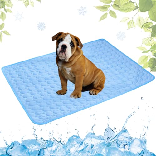 LEZUAN Kühlmatte Hunde, Selbstkühlende Hundematte, Kühldecke Katzen, Ungiftig Kühlkissen für Haustiere, Waschbar Hund Kältematte für Drinnen, Draußen und Auto(Blau,50x60cm) von LEZUAN