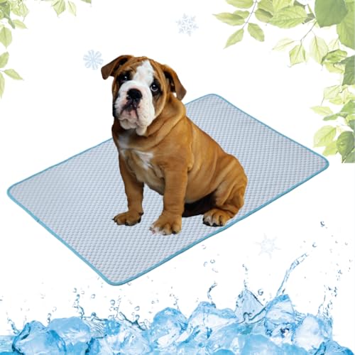LEZUAN Kühlmatte Hunde, Waschbar Kühldecke Katzen, Sommer Selbstkühlende Hundematte, Ungiftig Kühlkissen für Haustiere, Selbst Kühlende Hund Kältematte(Blau,50x60cm) von LEZUAN
