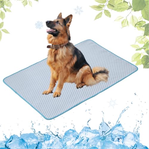 LEZUAN Kühlmatte Hunde, Waschbar Kühldecke Katzen, Sommer Selbstkühlende Hundematte, Ungiftig Kühlkissen für Haustiere, Selbst Kühlende Hund Kältematte(Blau,70x100cm) von LEZUAN