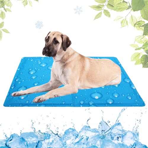 LEZUAN Kühlmatte Hunde mit Ungiftiges Gel, Selbstkühlende Hundematte Kratzfeste, Waschbar Kühlkissen für Haustiere, Langlebige Hund Kältematte, Perfekt für heißen Sommer(Wassertropfen,80x120cm) LEZUAN Kühlmatte Hunde mit Ungiftiges Gel, Selbstkühlende Hundematte Kratzfeste, Waschbar Kühlkissen für Haustiere, Langlebige Hund Kältematte, Perfekt für heißen Sommer(Wassertropfen,80x120cm) von LEZUAN