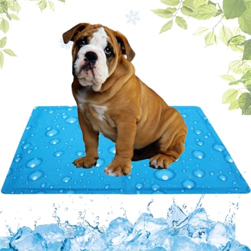 LEZUAN Kühlmatte Hunde mit Ungiftiges Gel, Selbstkühlende Hundematte Kratzfeste, Waschbar Kühlkissen für Haustiere, Langlebige Hund Kältematte, Perfekt für heißen Sommer(Wassertropfen,50x65cm) von LEZUAN