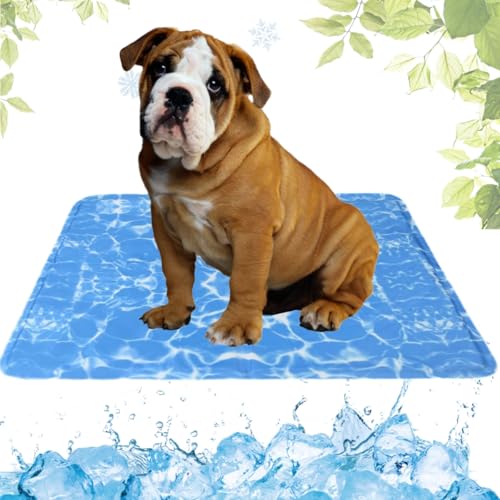 LEZUAN Kühlmatte Hunde mit Ungiftiges Gel, Selbstkühlende Hundematte Kratzfeste, Waschbar Kühlkissen für Haustiere, Langlebige Hund Kältematte, Perfekt für heißen Sommer(Wasserwellen,50x65cm) LEZUAN Kühlmatte Hunde mit Ungiftiges Gel, Selbstkühlende Hundematte Kratzfeste, Waschbar Kühlkissen für Haustiere, Langlebige Hund Kältematte, Perfekt für heißen Sommer(Wasserwellen,50x65cm) von LEZUAN