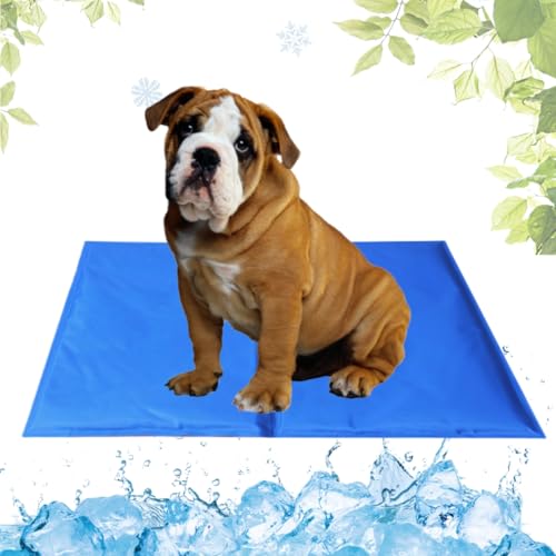 LEZUAN Kühlmatte Hunde mit Ungiftiges Gel, Selbstkühlende Hundematte Kratzfeste, Waschbar Kühlkissen für Haustiere, Langlebige Hund Kältematte, Perfekt für heißen Sommer(Blau,50x65cm) LEZUAN Kühlmatte Hunde mit Ungiftiges Gel, Selbstkühlende Hundematte Kratzfeste, Waschbar Kühlkissen für Haustiere, Langlebige Hund Kältematte, Perfekt für heißen Sommer(Blau,50x65cm) von LEZUAN