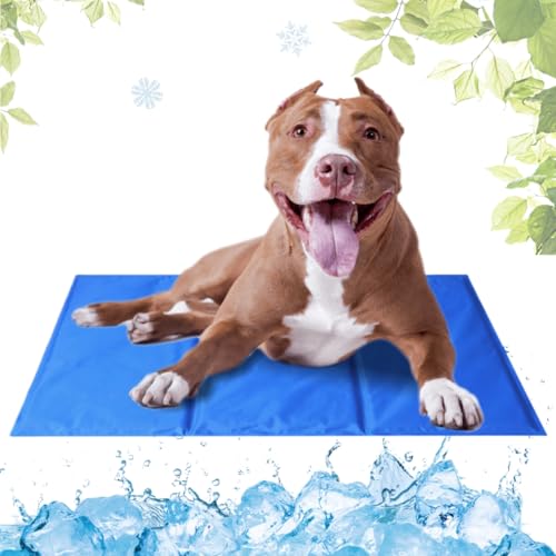 LEZUAN Kühlmatte Hunde mit Ungiftiges Gel, Selbstkühlende Hundematte Kratzfeste, Waschbar Kühlkissen für Haustiere, Langlebige Hund Kältematte, Perfekt für heißen Sommer(Blau,50x90cm) LEZUAN Kühlmatte Hunde mit Ungiftiges Gel, Selbstkühlende Hundematte Kratzfeste, Waschbar Kühlkissen für Haustiere, Langlebige Hund Kältematte, Perfekt für heißen Sommer(Blau,50x90cm) von LEZUAN