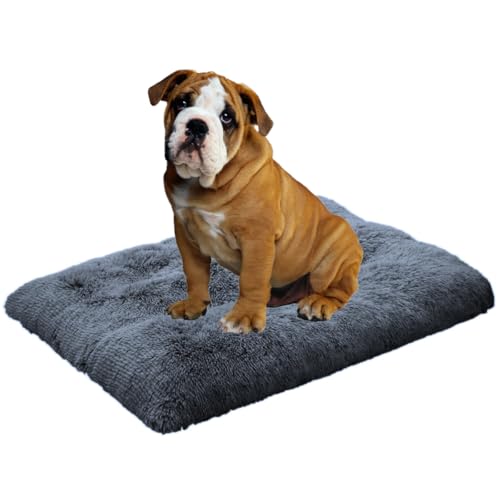 Weich Hundebett für Grosse Hunde und Mittelgroße Hunde, Plüsch Hundekissen Verdicken Hundematten mit Rutschfester Unterseite Flauschig Haustierbett, Waschbar und Anti Stress(Dunkelgraublau,59x80cm) Weich Hundebett für Grosse Hunde und Mittelgroße Hunde, Plüsch Hundekissen Verdicken Hundematten mit Rutschfester Unterseite Flauschig Haustierbett, Waschbar und Anti Stress(Dunkelgraublau,59x80cm) von LEZUAN