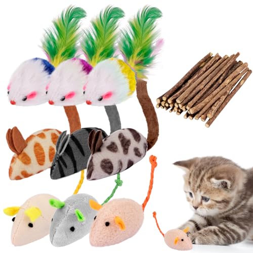 LFBEST 39 Stück Katzenminze Spielzeug für Katzen, 9 Stück Katzenspielzeug Maus und 30 Katzenminze Sticks Kitten Spielzeug Set zur Zahnpflege und Unterhaltung von Katzen und Kätzchen von LFBEST