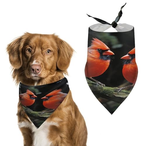 Halstuch, Halstuch, Halstuch, Motiv: Vögel, Tierwelt, waschbar, bedruckt, Dreieck, Halstuch, Halstuch für Hunde oder Katzen Halstuch, Halstuch, Halstuch, Motiv: Vögel, Tierwelt, waschbar, bedruckt, Dreieck, Halstuch, Halstuch für Hunde oder Katzen von LFDSYEOQ