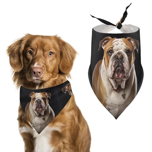 Halstuch, Halstuch, Motiv: Englische Bulldogge, waschbar, bedruckt, Dreieckstuch für Hunde oder Katzen Halstuch, Halstuch, Motiv: Englische Bulldogge, waschbar, bedruckt, Dreieckstuch für Hunde oder Katzen von LFDSYEOQ