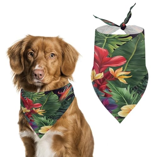 Halstuch, Halstuch, Motiv: tropische Pflanzen, Blumen, waschbar, bedruckt, Dreieck, Halstuch, Halstuch für Hunde oder Katzen Halstuch, Halstuch, Motiv: tropische Pflanzen, Blumen, waschbar, bedruckt, Dreieck, Halstuch, Halstuch für Hunde oder Katzen von LFDSYEOQ