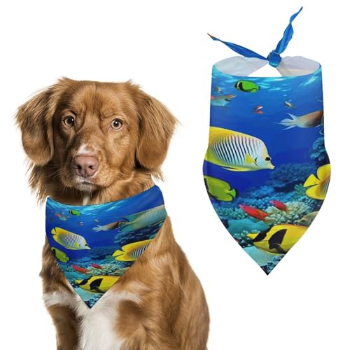 Halstuch, Halstuch, Motiv: tropischer Seefisch, waschbar, bedruckt, Dreieck, Halstuch, Halstuch für Hunde oder Katzen Halstuch, Halstuch, Motiv: tropischer Seefisch, waschbar, bedruckt, Dreieck, Halstuch, Halstuch für Hunde oder Katzen von LFDSYEOQ