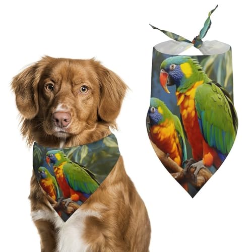 Halstuch für Hunde und Hunde, Motiv: Vogel und Papageien, waschbar, bedruckt, Lätzchen, Zubehör, Dreieckstuch für Hunde oder Katzen Halstuch für Hunde und Hunde, Motiv: Vogel und Papageien, waschbar, bedruckt, Lätzchen, Zubehör, Dreieckstuch für Hunde oder Katzen von LFDSYEOQ